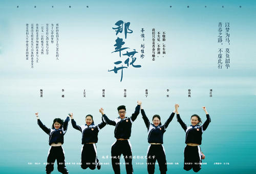 尼日利亚护照电子版作假